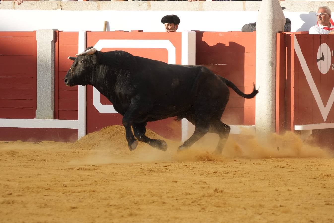 La corrida de rejones de Pozoblanco, en imágenes