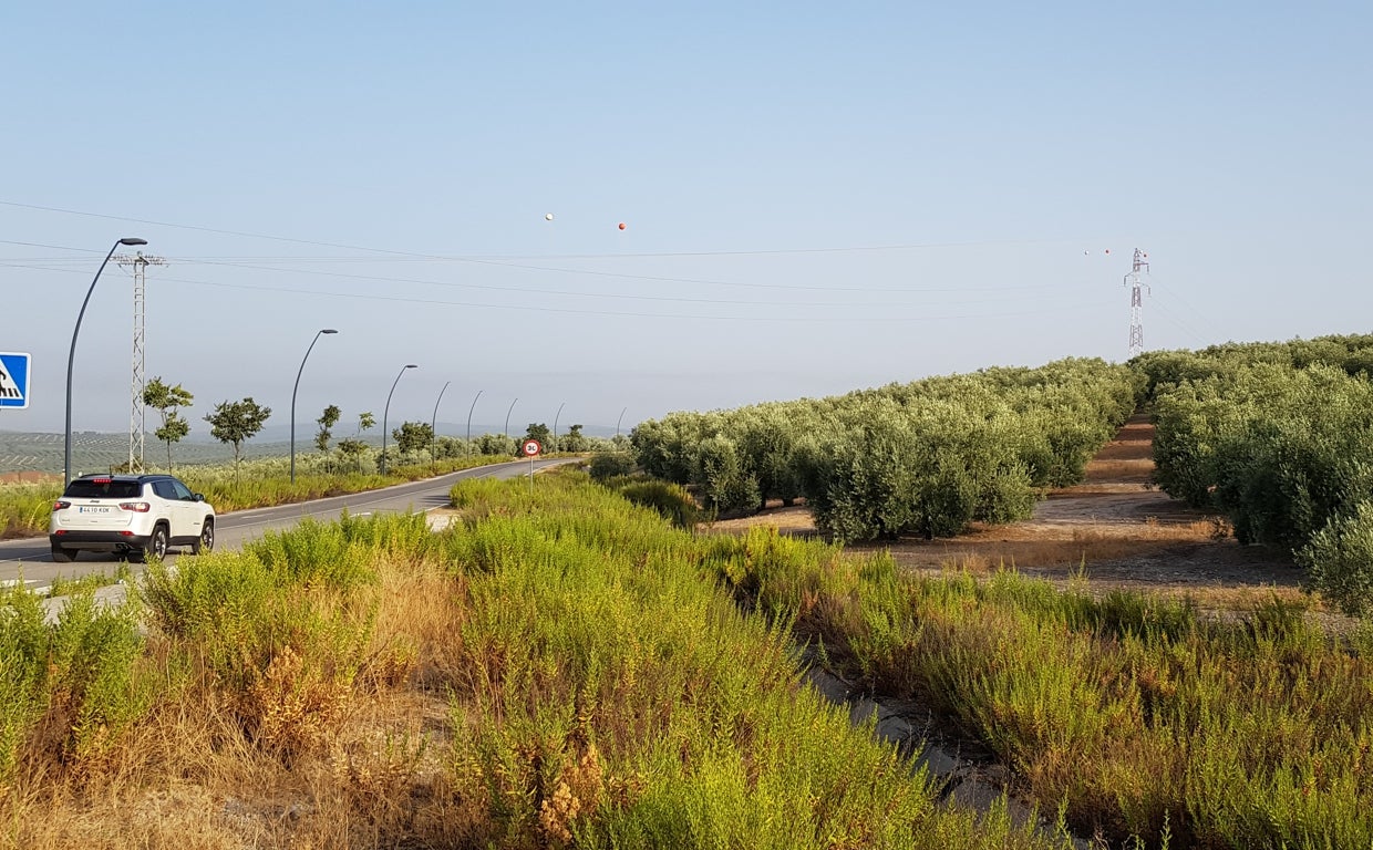 Tendido eléctrico en los terrenos donde se construirá el hospital