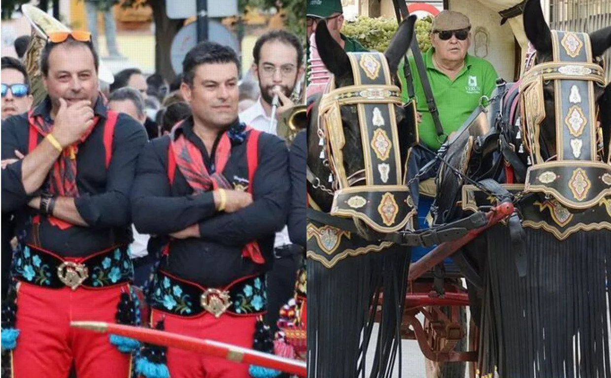 Desfile de Moros y Cristianos de Ibi en Tomelloso y Romería con mulas en el municipio manchego