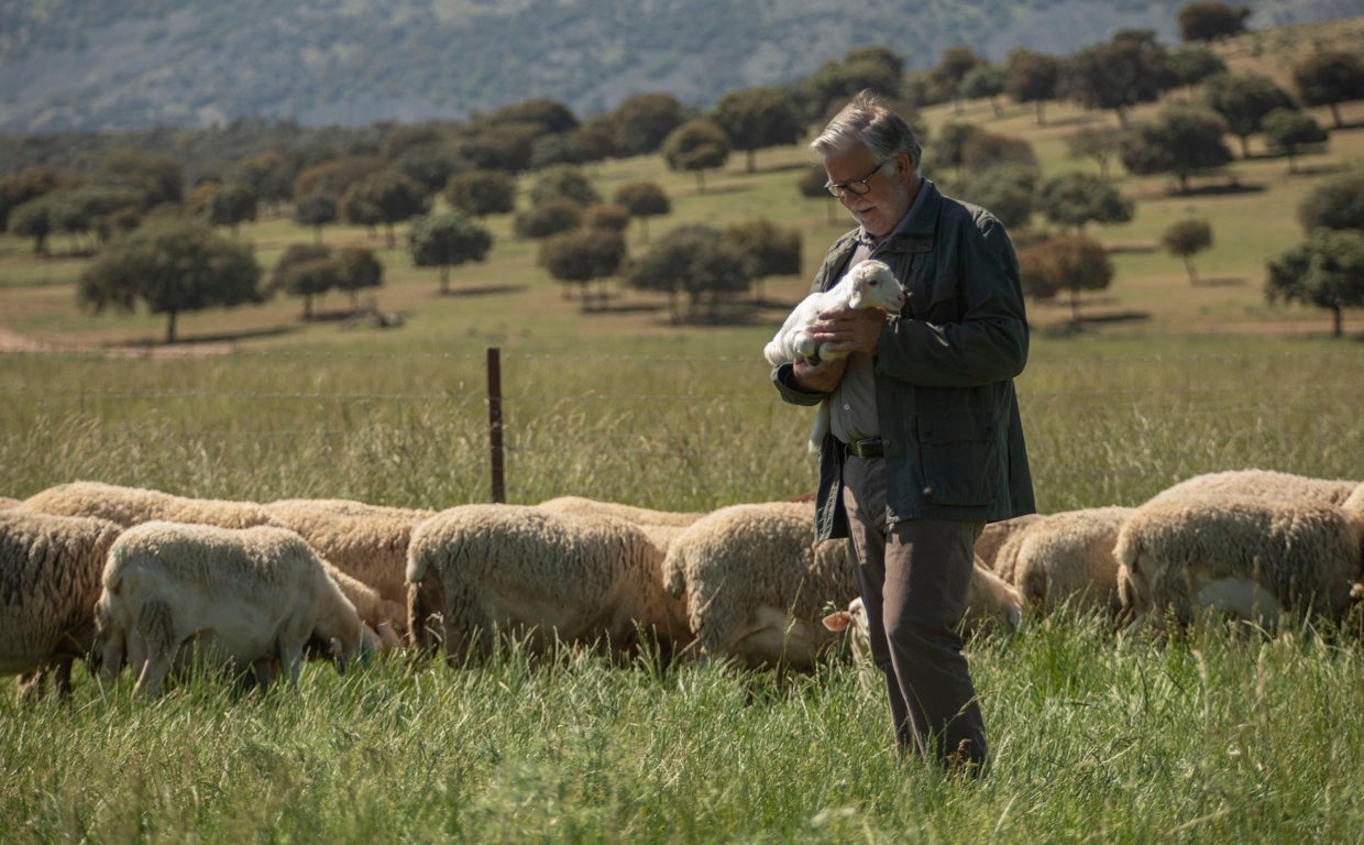 Adiano, el mejor queso manchego de las ovejas felices y sanas