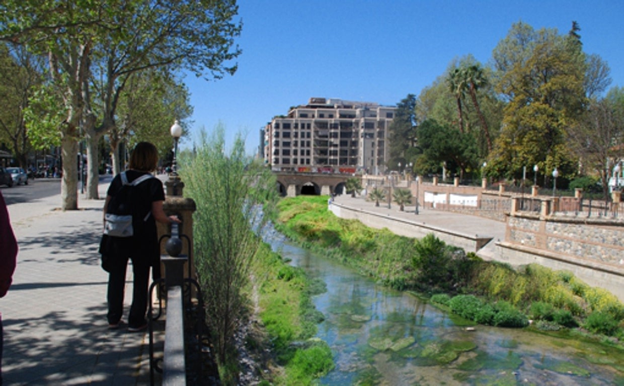 Imagen del proyecto presentado por Ecologistas y rechazado por el Ayuntamiento