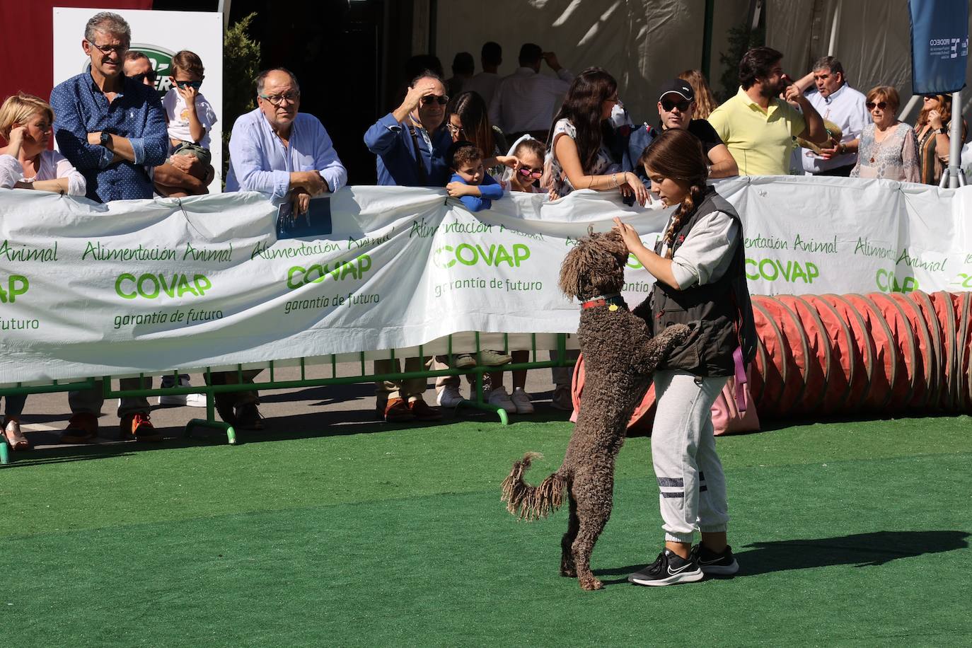 La feria Intercaza de Córdoba, en imágenes