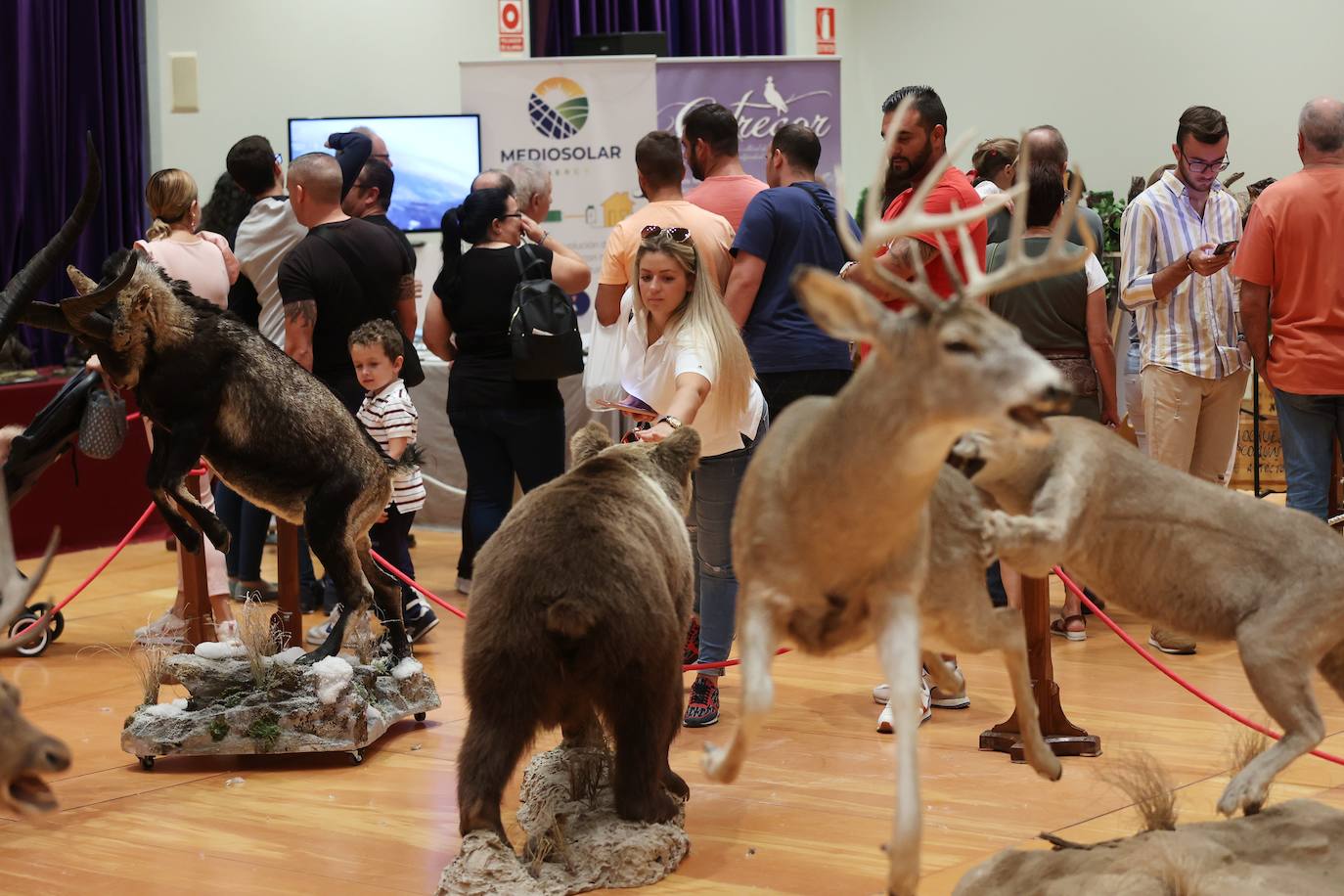 La feria Intercaza de Córdoba, en imágenes