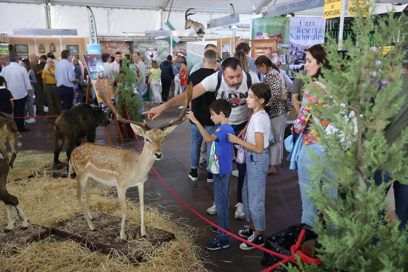 La feria Intercaza de Córdoba, en imágenes