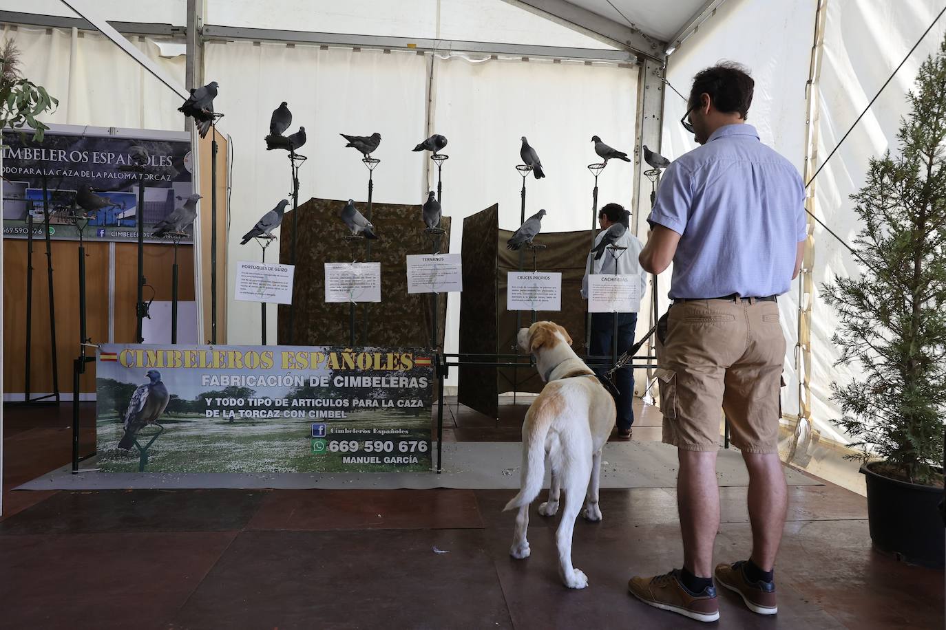 La feria Intercaza de Córdoba, en imágenes