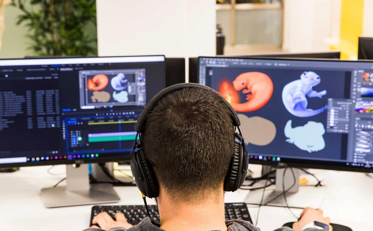 Uno de los empleados de Freepik trabajando en su terminal