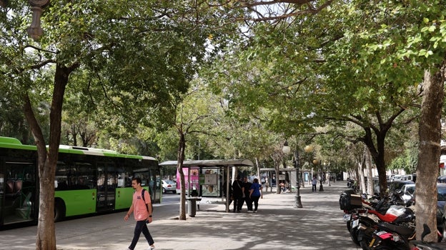 Paradas de autobús en Colón