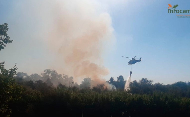 El informe técnico sobre el incendio de la isla del Tajo dice que la regeneración será «rápida y natural»