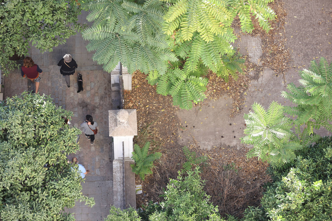 El mal estado de la Zona Militar de Córdoba, en imágenes