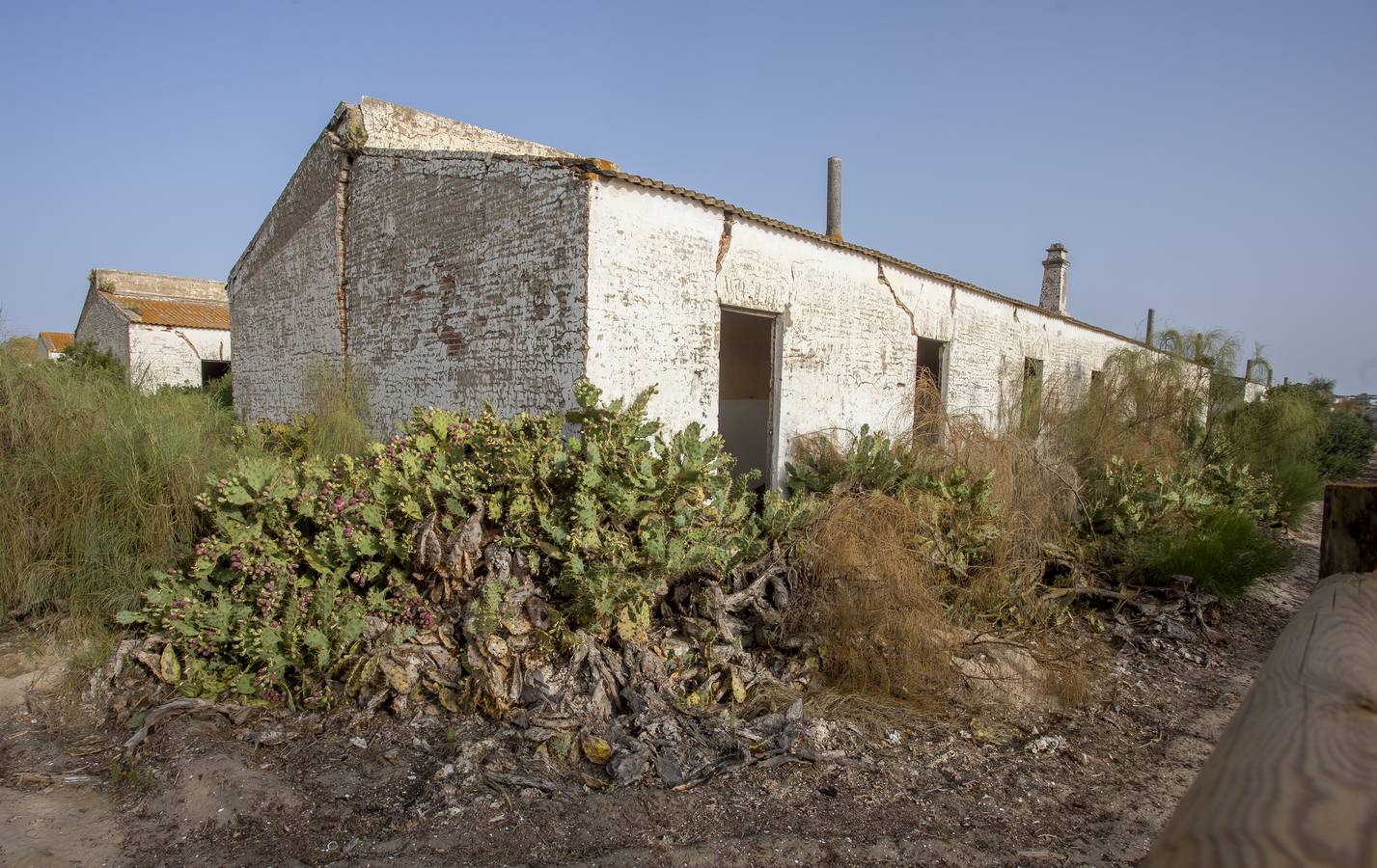 Almadraba de Nueva Umbría