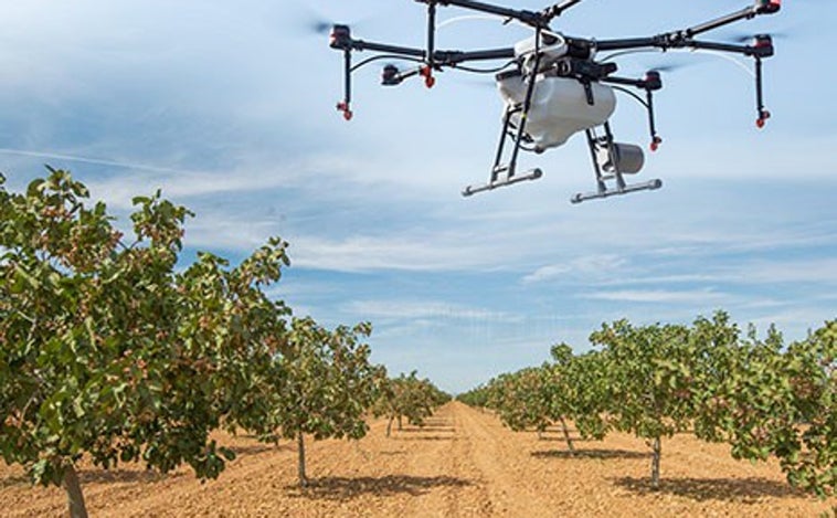 Una investigación con drones para mejorar la producción del pistacho en Castilla-La Mancha