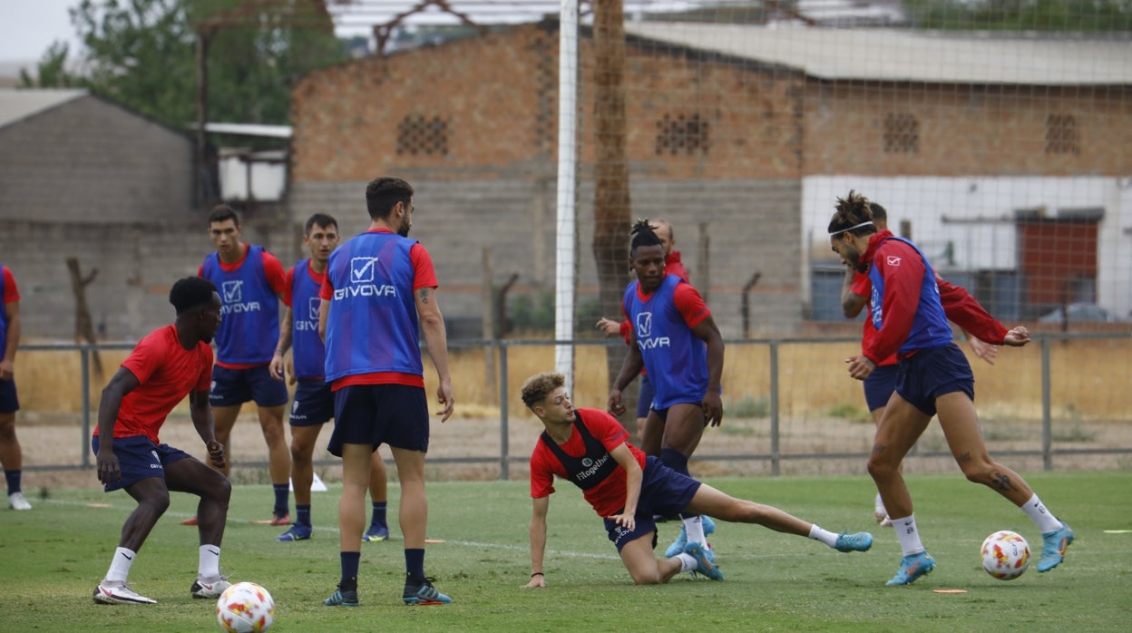 El Córdoba CF calienta motores antes de enfrentarse con el Algeciras