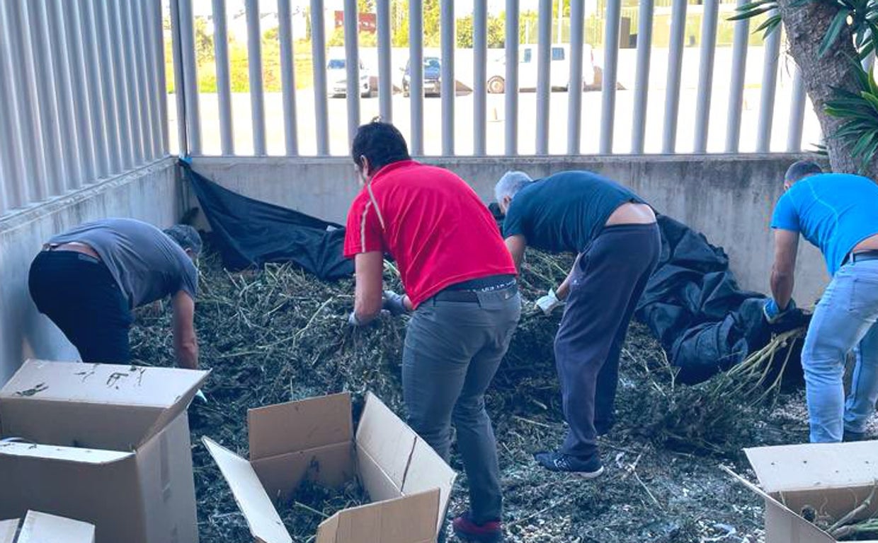 Agentes recogen marihuana en el exterior de una comisaría catalana