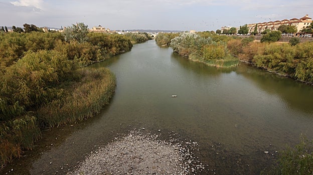 El Guadalquivir a su paso por Córdoba capital