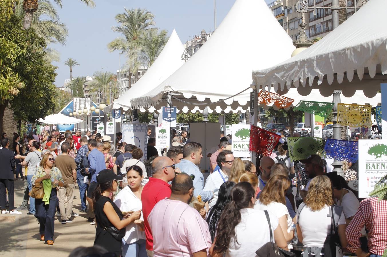 Las mejoras tapas de Córdoba en la calle, en imágenes