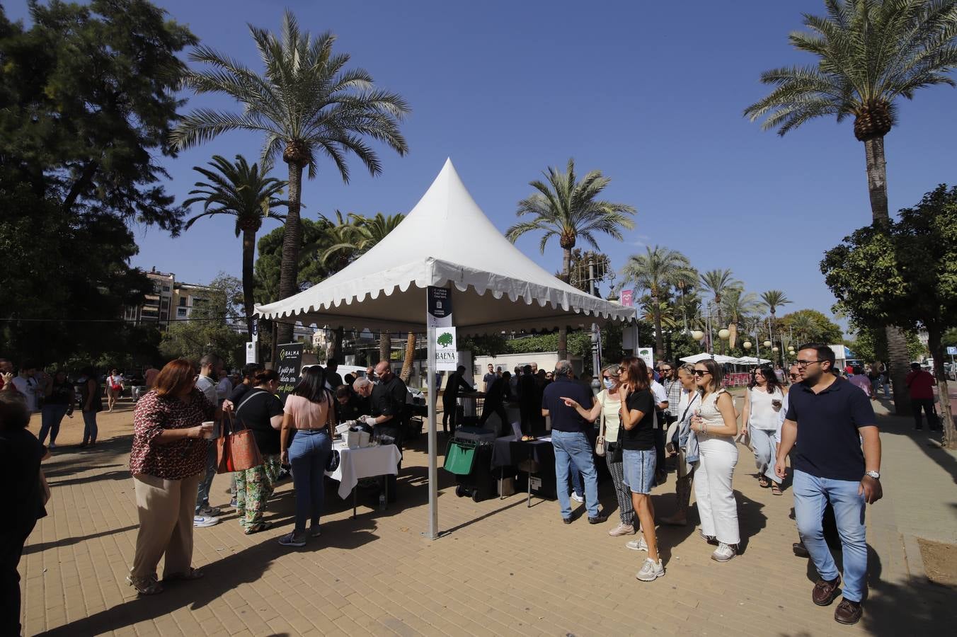Las mejoras tapas de Córdoba en la calle, en imágenes