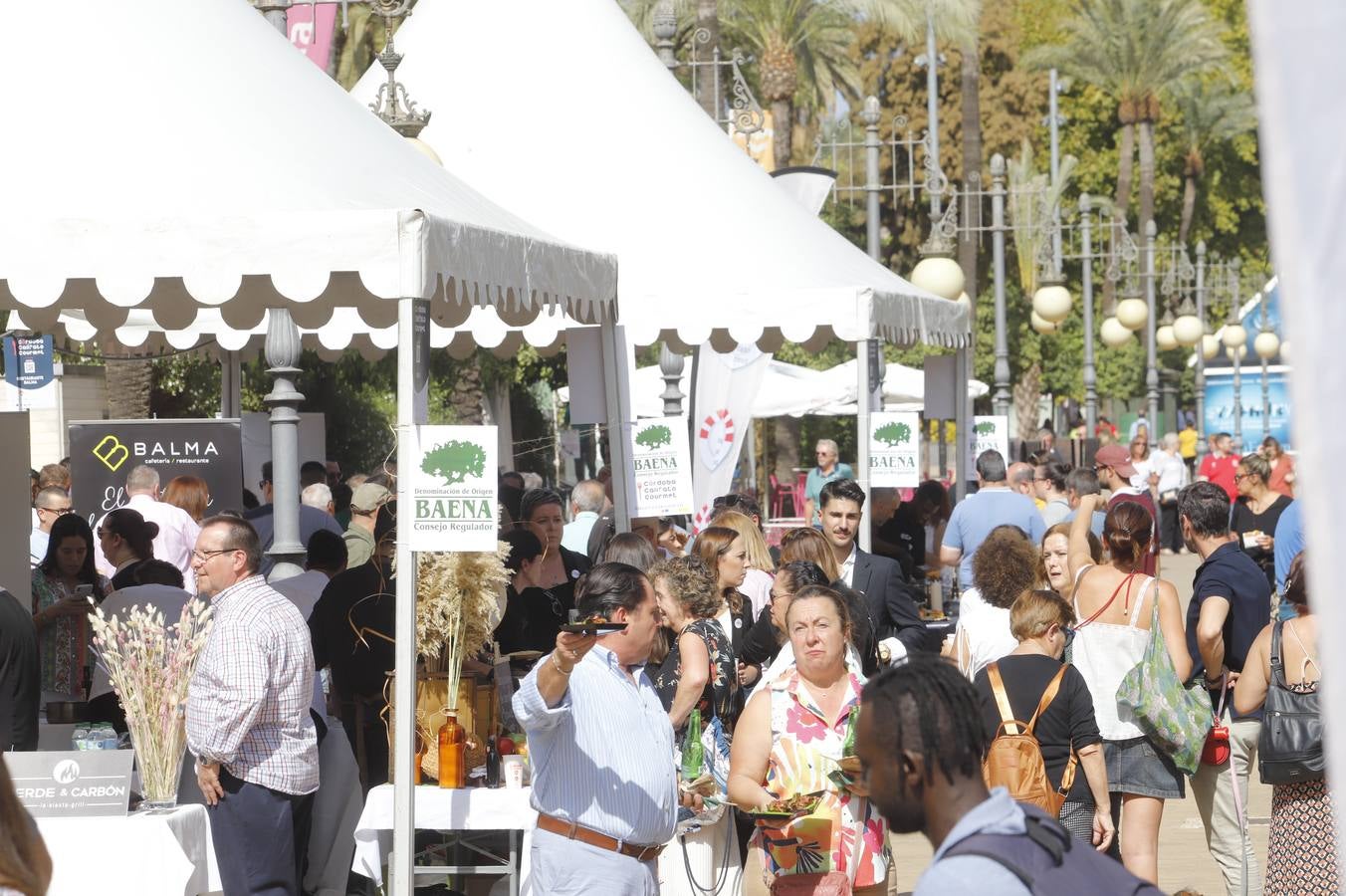 Las mejoras tapas de Córdoba en la calle, en imágenes