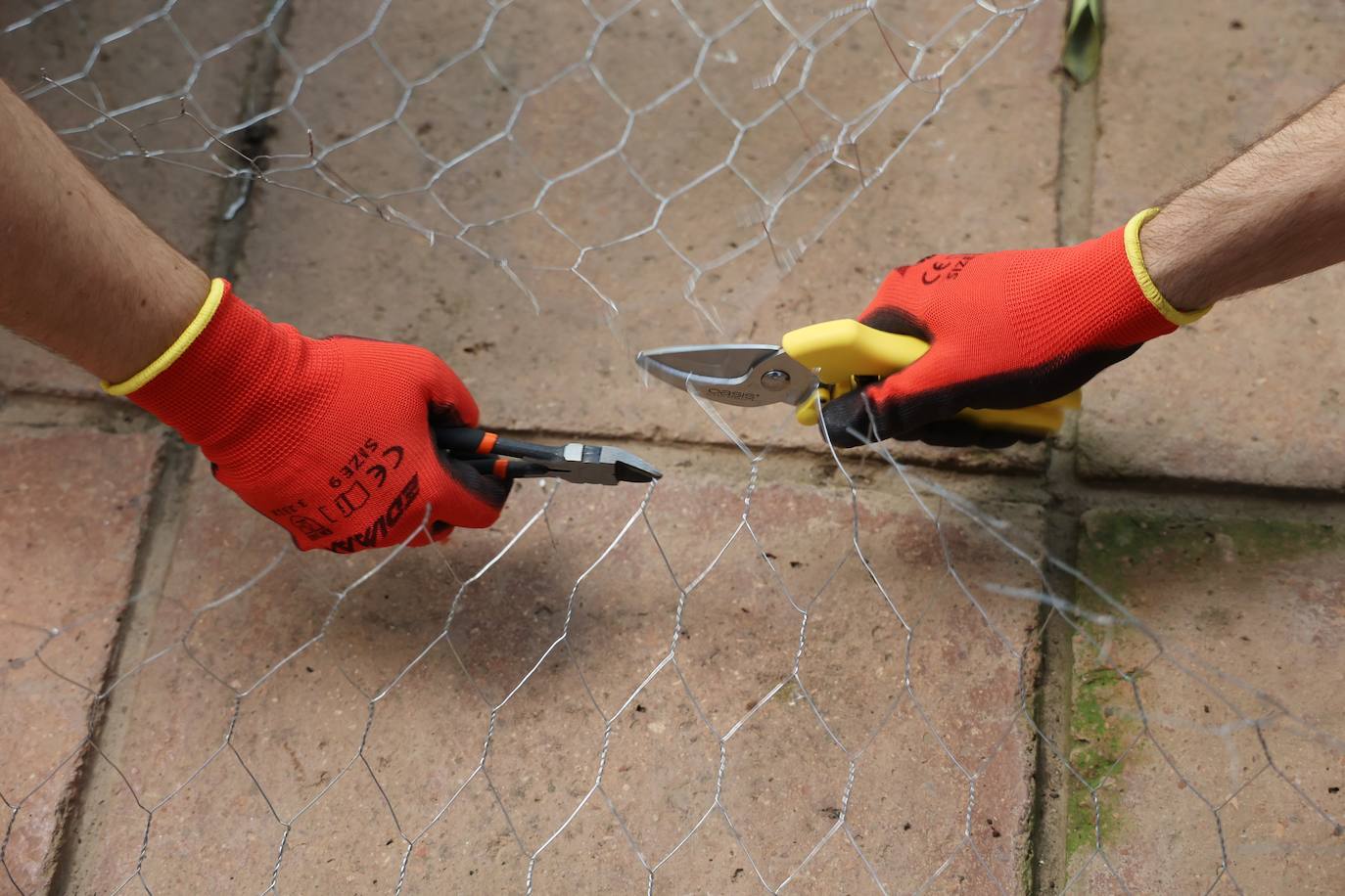 Festival Flora Córdoba 2022 | El montaje de las instalaciones, en imágenes