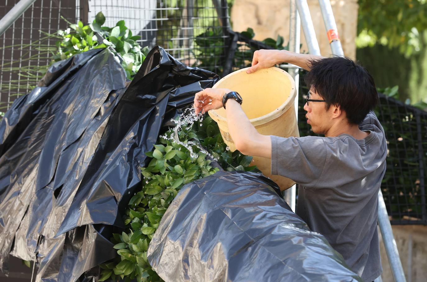 Festival Flora Córdoba 2022 | El montaje de las instalaciones, en imágenes