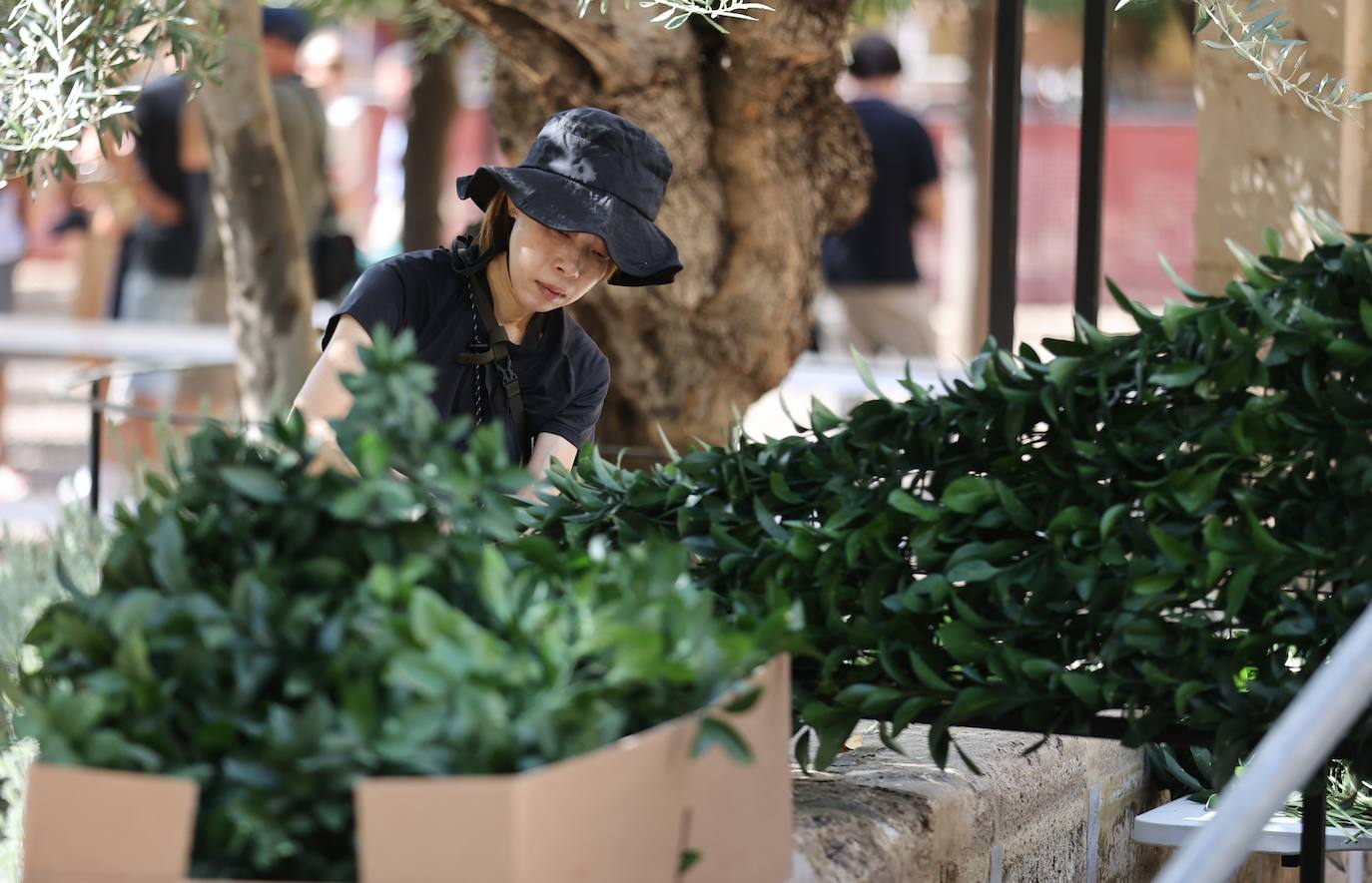 Festival Flora Córdoba 2022 | El montaje de las instalaciones, en imágenes
