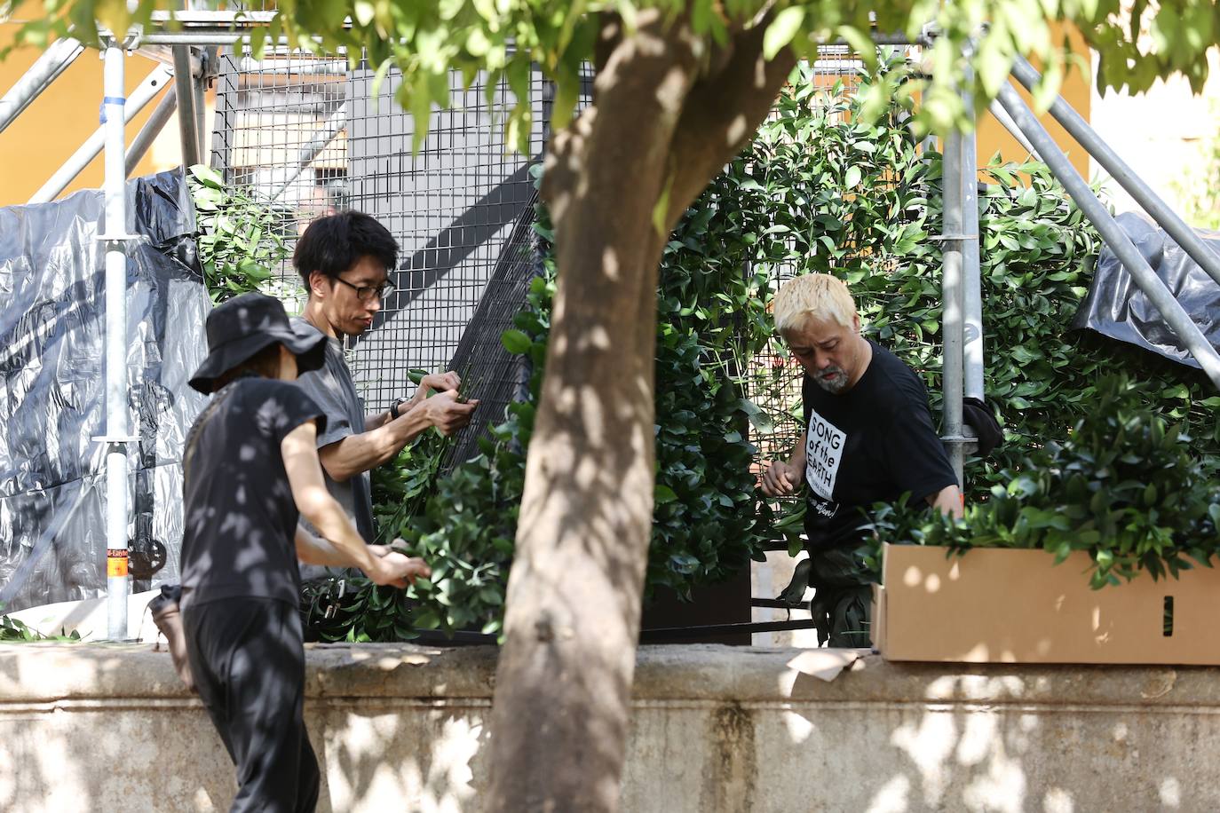 Festival Flora Córdoba 2022 | El montaje de las instalaciones, en imágenes