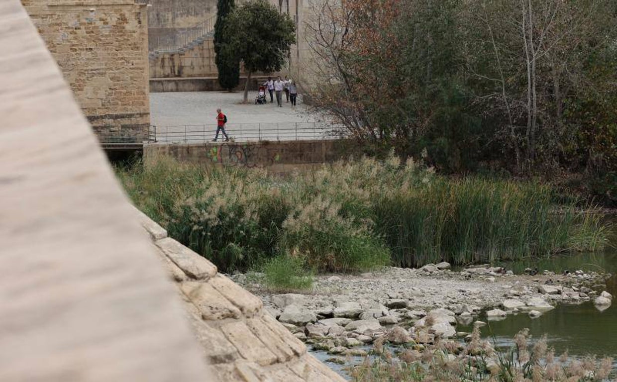 La sequía del Guadalquivir a su paso por Córdoba, en imágenes