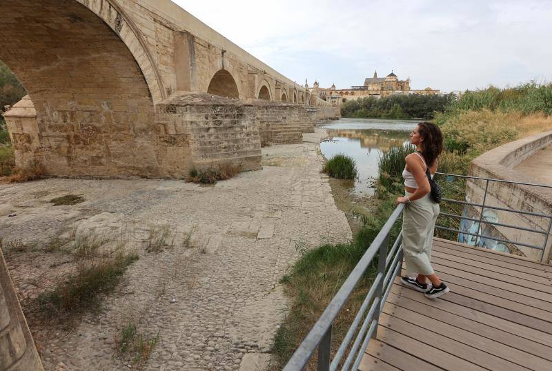 La sequía del Guadalquivir a su paso por Córdoba, en imágenes