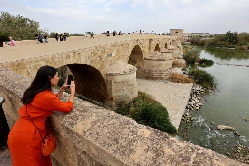 La sequía del Guadalquivir a su paso por Córdoba, en imágenes