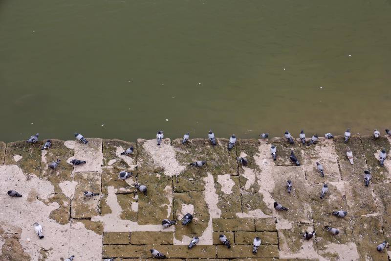 La sequía del Guadalquivir a su paso por Córdoba, en imágenes