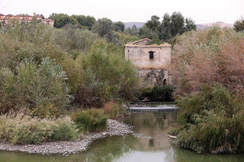 La sequía del Guadalquivir a su paso por Córdoba, en imágenes