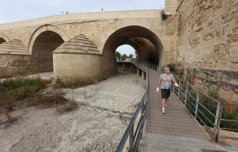 La sequía del Guadalquivir a su paso por Córdoba, en imágenes
