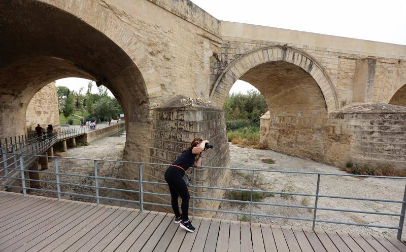 La sequía del Guadalquivir a su paso por Córdoba, en imágenes