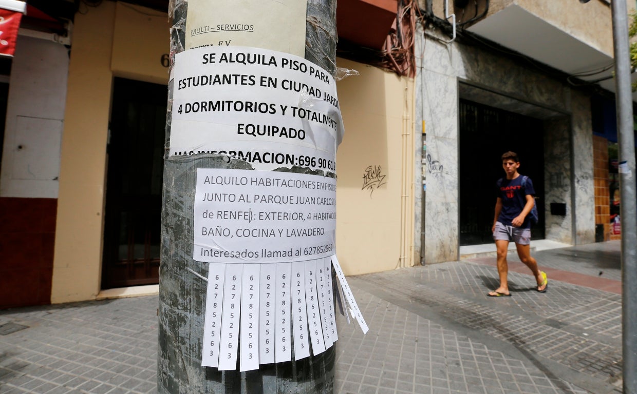 ¿Dónde han subido más los alquileres ahora mismo en Córdoba?