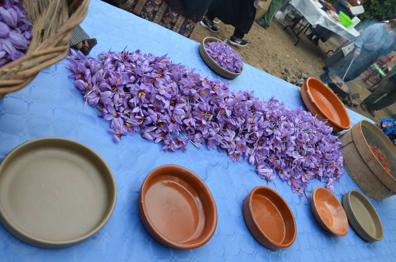 La Fiesta de la Rosa del Azafrán, cita obligada en Consuegra