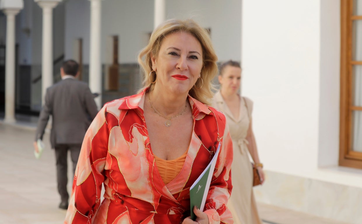 La consejera de Hacienda, Carolina España