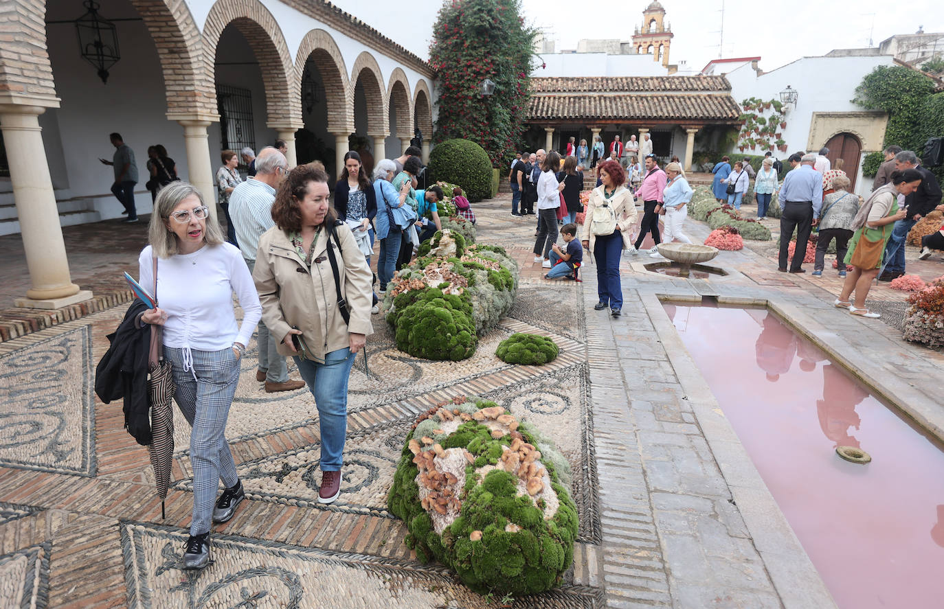 En imágenes, las instalaciones de Orive y Viana ganan los premios Flora 2022
