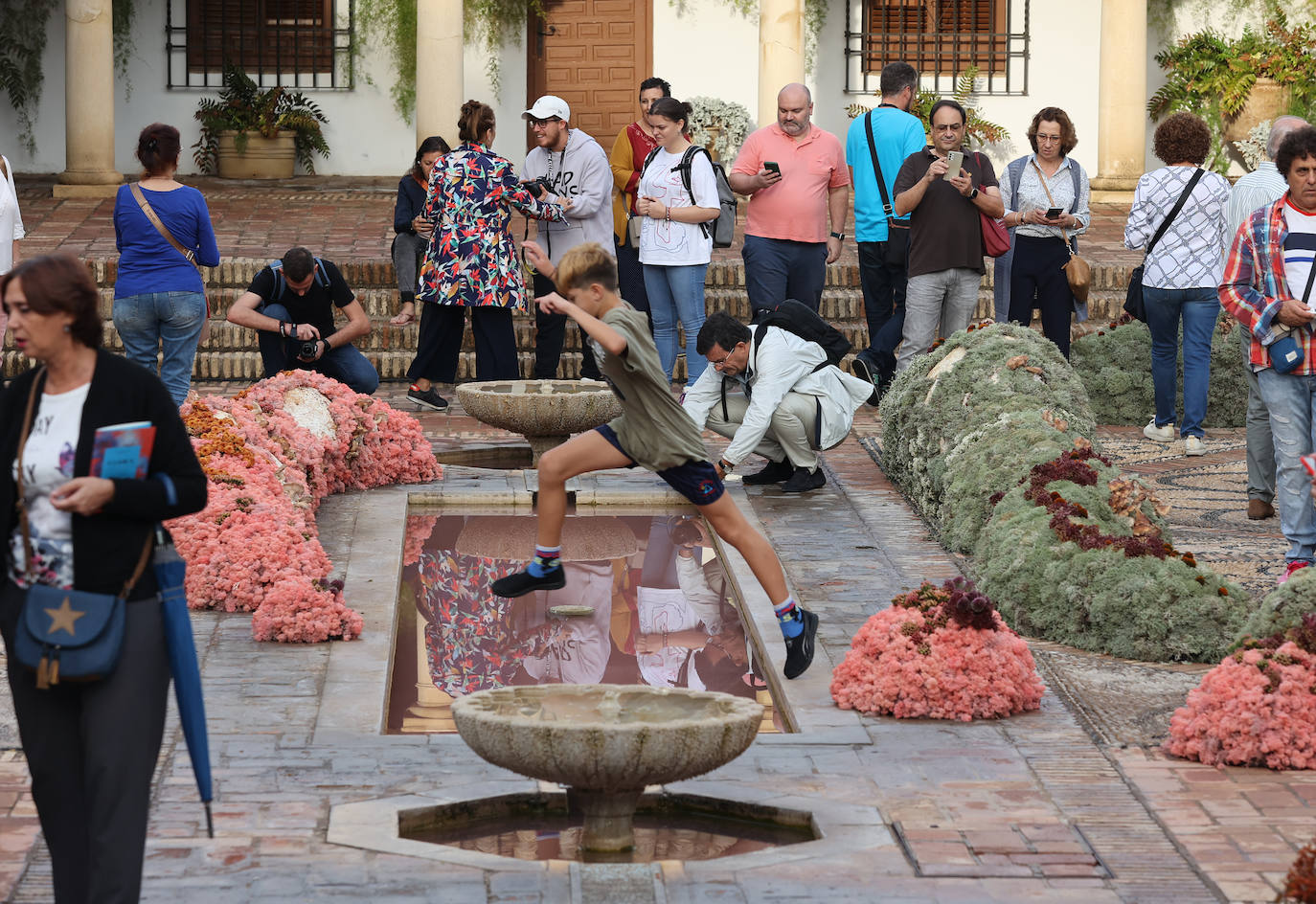En imágenes, las instalaciones de Orive y Viana ganan los premios Flora 2022
