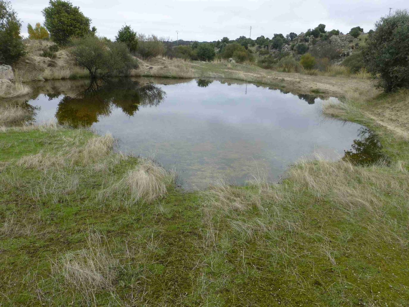 Las Charcas de las Carboneras (Colmenar Viejo) son cuatro encharcamientos temporales que proceden de una extracción de áridos próximos al río Manzanares, y se encuentran en el Cordel de Cantalojas. Es un punto estratégico para el refugio, alimentación y reproducción de fauna acuática.