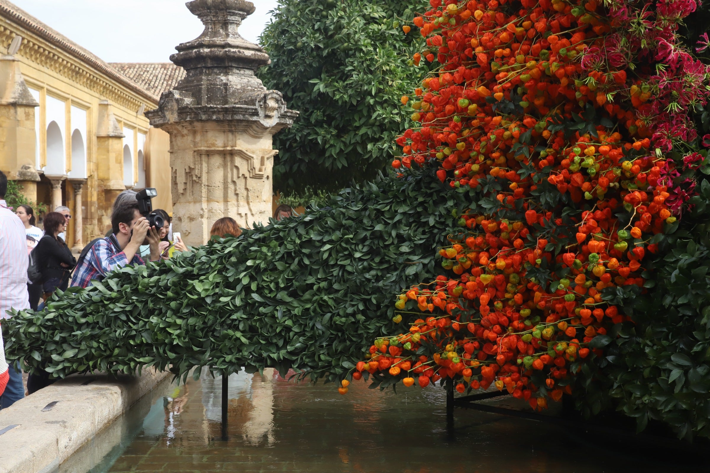 El sábado de Flora de Córdoba, en imágenes