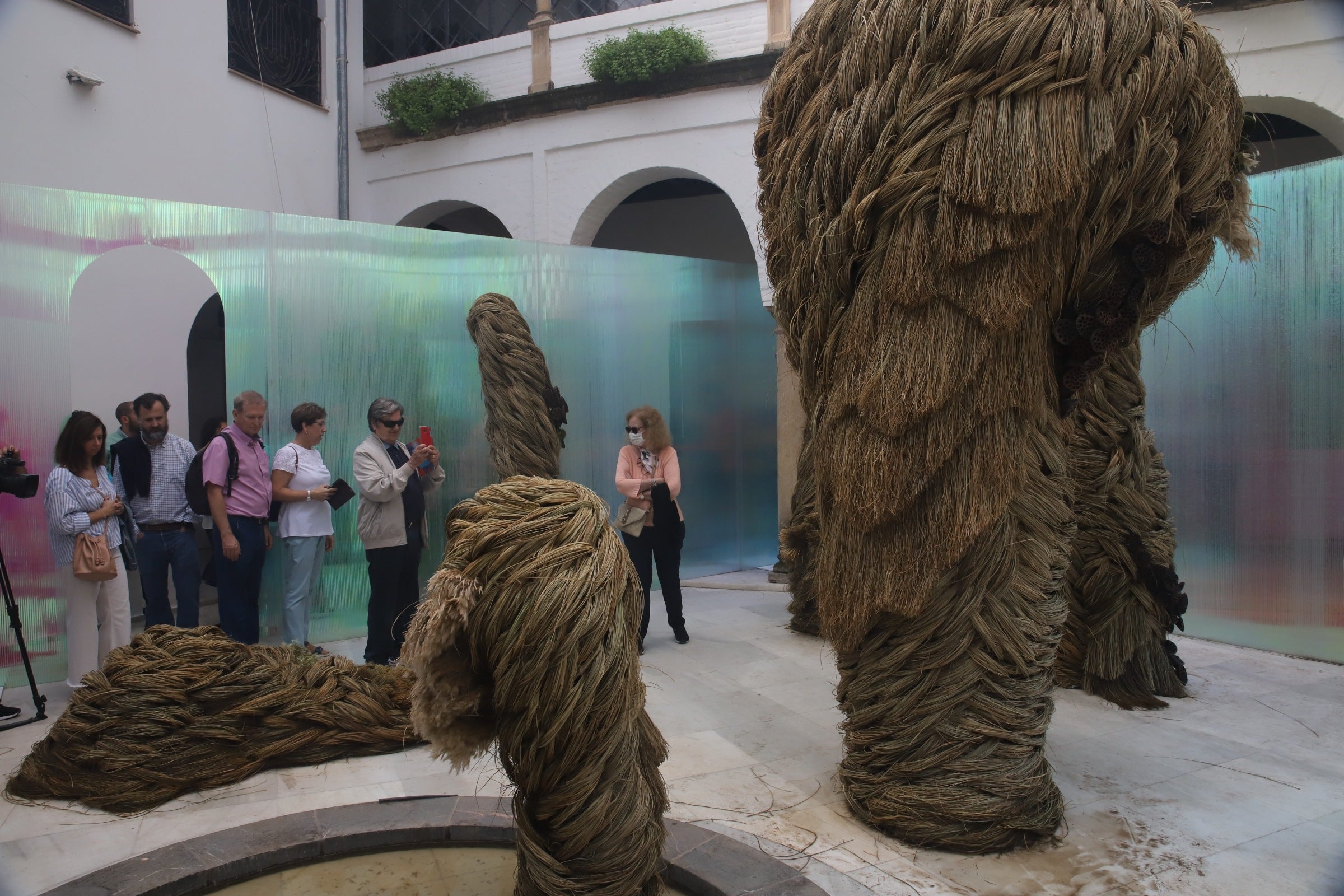 El sábado de Flora de Córdoba, en imágenes