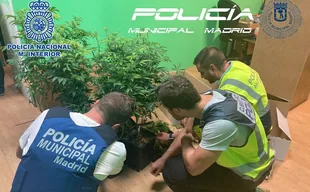 Operación Caimán: el club de cannabis era una tapadera para vender droga en  Hortaleza