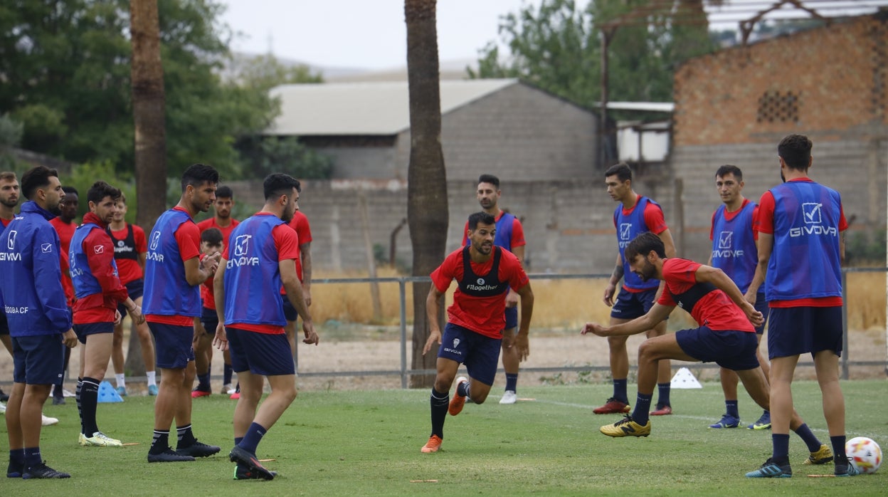 Así está la enfermería del Córdoba CF para medirse con el Talavera