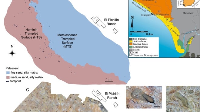 Localización de las huellas encontradas en la investigación del equipo de Eduardo Mayoral
