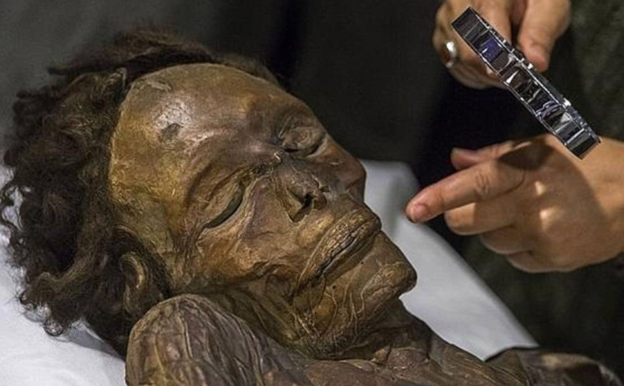 Plano de la cara de esta momia guanche, en el Museo Arqueológico Nacional de Madrid
