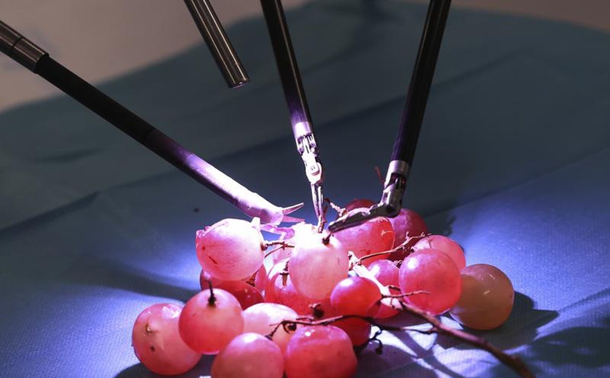 El robot Da Vinci actuando con sus brazos sobre un racimo de uvas