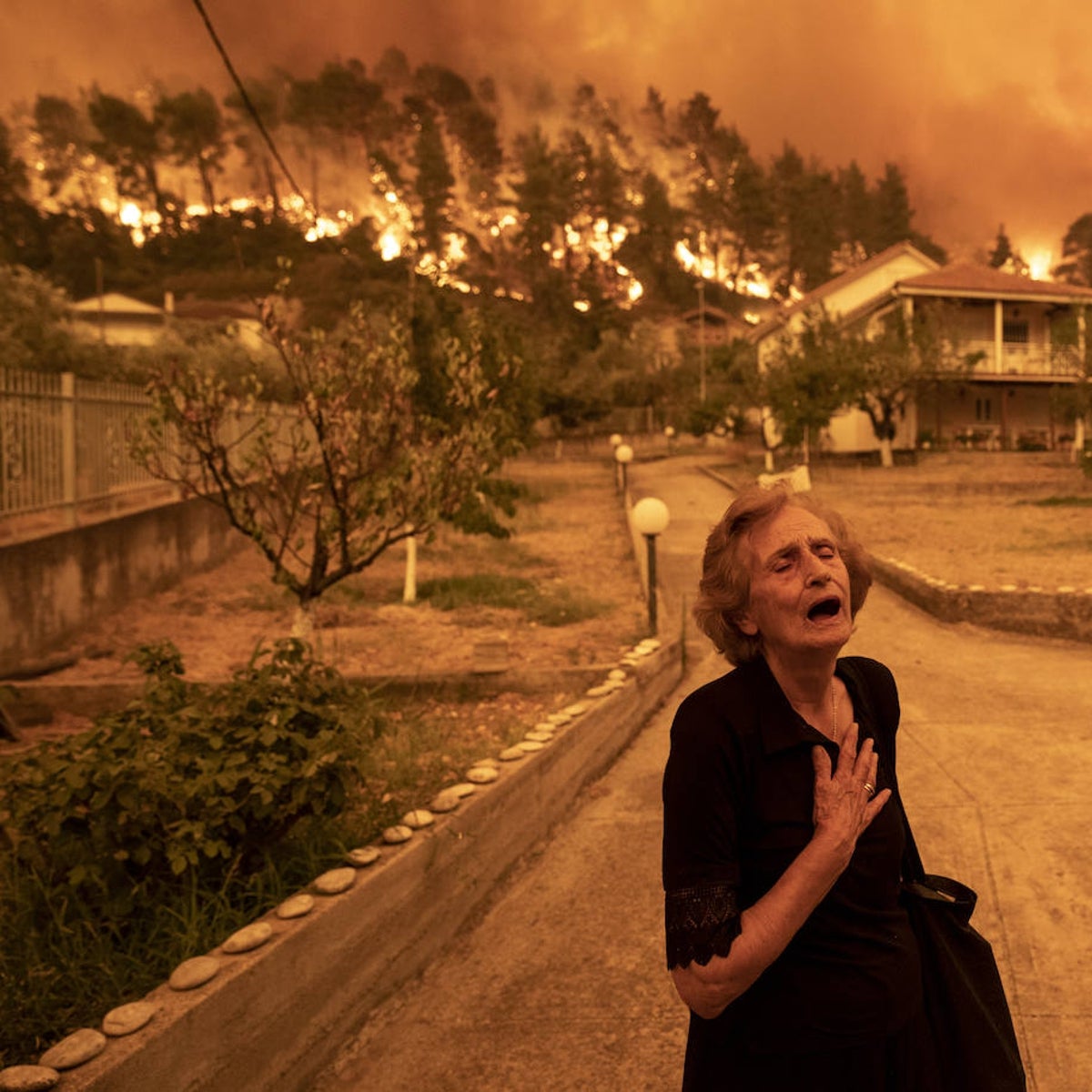 El World Press Photo de la emergencia climática echa raíces en Barcelona