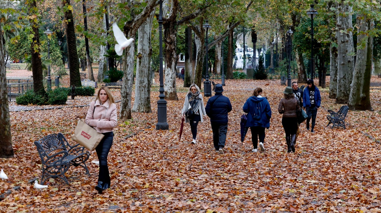 El tiempo en Córdoba | El mercurio repunta hasta los 26 grados en un viernes de nubes