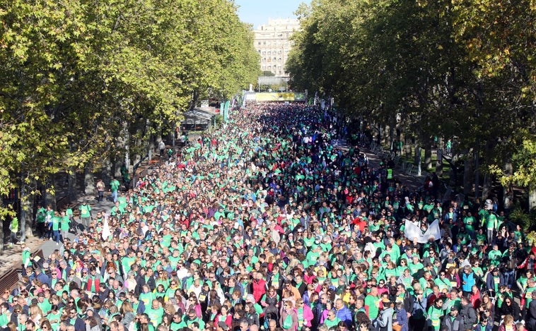 La 'marea verde' toma las calles de Valladolid y Salamanca