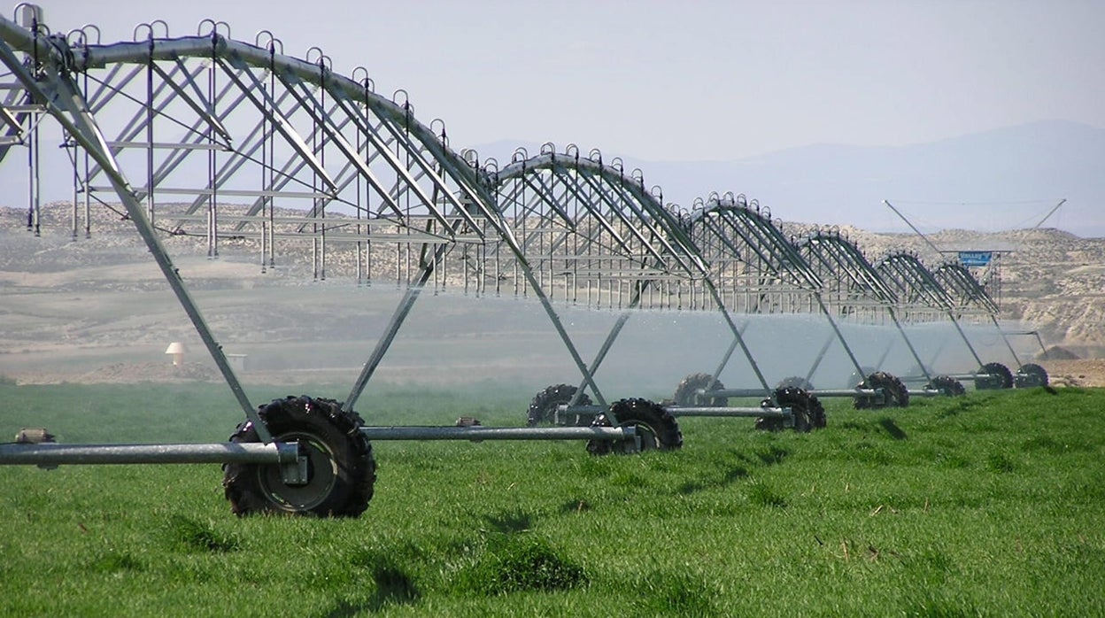 Las fincas de regadío lideran la subida de precios de las tierras agrícolas en Córdoba