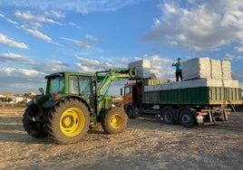 Leña desde Los Pedroches hasta Madrid para abaratar la factura energética